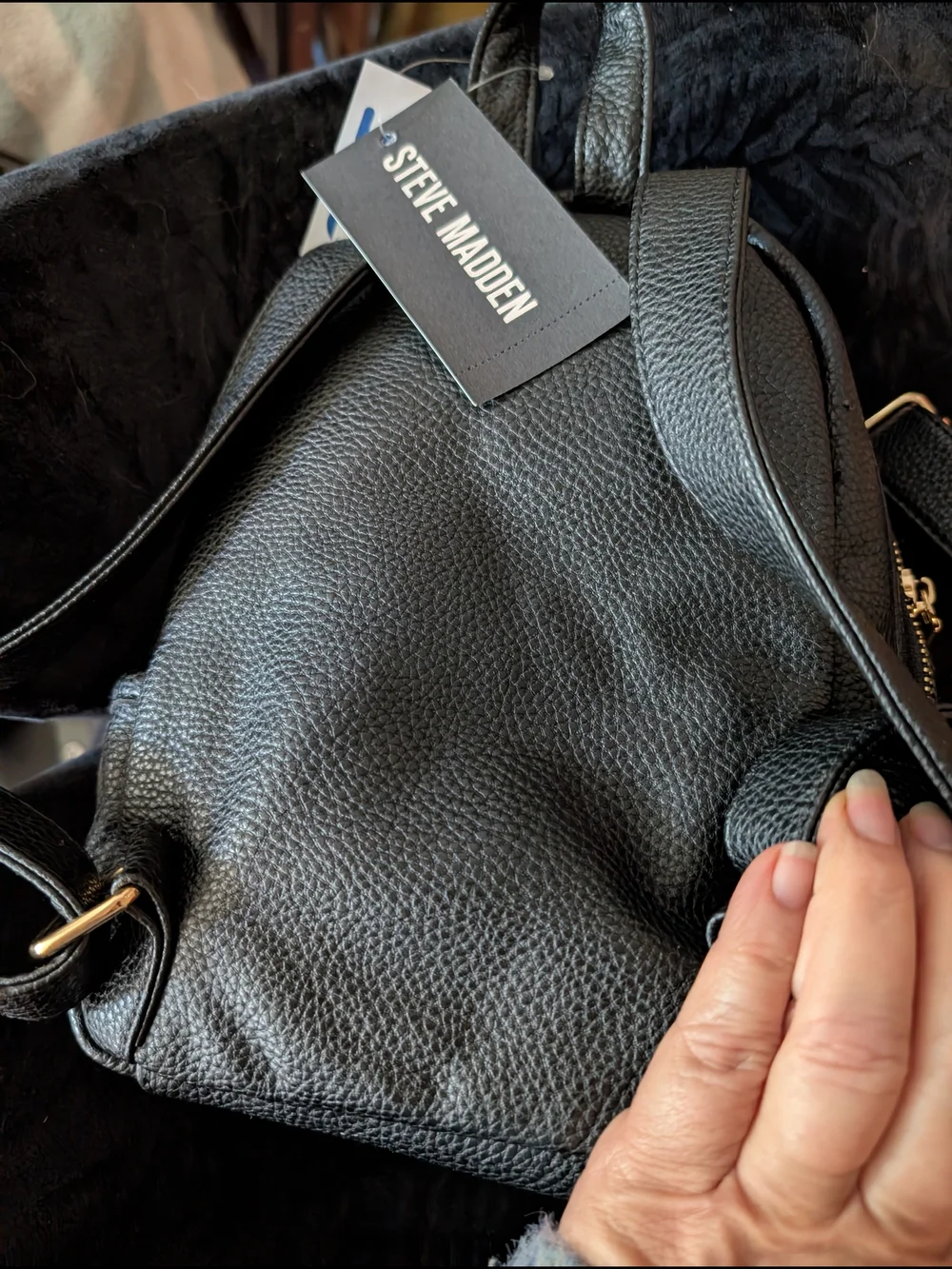 Steve Madden Black Mini Backpack - Pebbled Leather